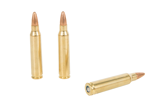 Get Bulk Ammunition From Ammunitions For Sale